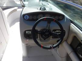 2006, Chaparral, 236 Sunesta