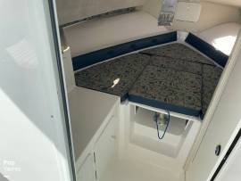 2009, Baha Cruisers, 300 GLE