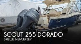 2020, Scout, 255 Dorado