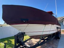 1987, Sea Ray, 250 Sundancer