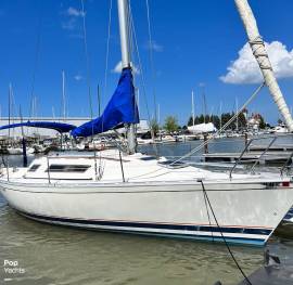 1985, Beneteau, 305 First