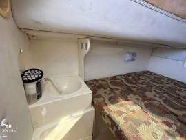 2006, World Cat, 270 SC (Sport Cabin)