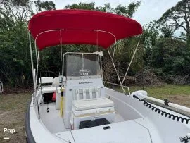 1996, Boston Whaler, Dauntless 15