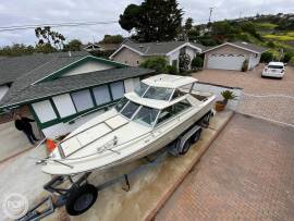 1977, Sea Ray, SRV 220 Overnighter