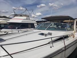 1990, Sea Ray, 310 Sundancer