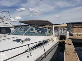 1990, Sea Ray, 310 Sundancer