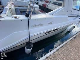 1990, Sea Ray, 310 Sundancer