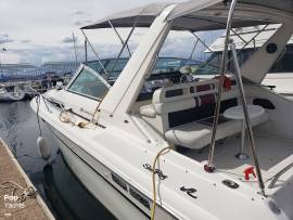 1990, Sea Ray, 310 Sundancer