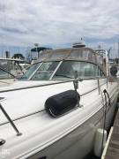 2003, Sea Ray, 290 Amberjack