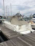 2003, Sea Ray, 290 Amberjack