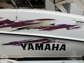 1999, Yamaha, LS 2000