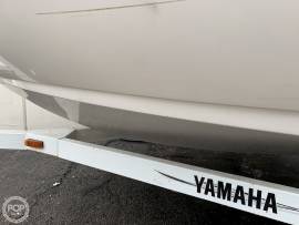 1999, Yamaha, LS 2000