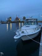 1998, Pursuit, 2800 WA