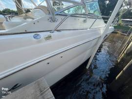 2001, Sea Ray, Amberjack 290