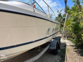 1999, Bayliner, Trophy 2002