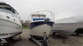 2008, Bayliner, 246 Discovery