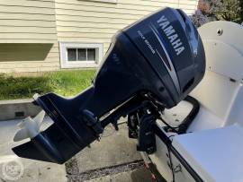 2007, Seaswirl, Striper 1851