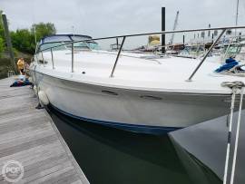 1993, Sea Ray, 500 Sundancer