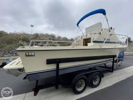 1979, Skipjack, Flybridge 24