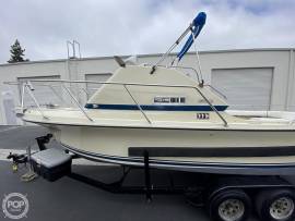 1979, Skipjack, Flybridge 24