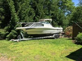 2003, Wellcraft, Coastal 240