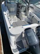 2006, Wellcraft, Coastal 252