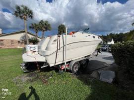 2003, Sea Ray, Sundancer 240