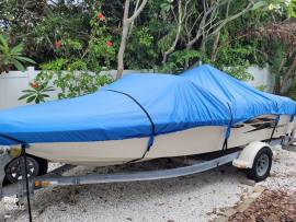 2001, Sea Ray, 180 BR