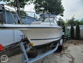 1999, Bayliner, Trophy 2509