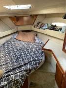 1984, Sea Ray, 30 Sportbridge