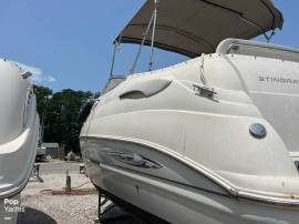 2008, Stingray, 250 CS