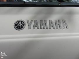 2008, Yamaha, AR230 HO