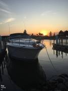 1987, Sea Ray, 390 Express Cruiser