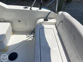 2010, Sea Ray, 240 Sundancer