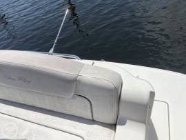 2010, Sea Ray, 240 Sundancer