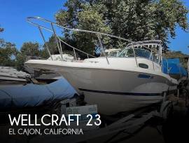 1996, Wellcraft, Excel 23 Fisher