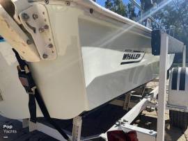 1968, Boston Whaler, Sakonnet