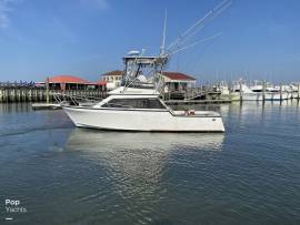 1988, Innovator, 31 Sportfish