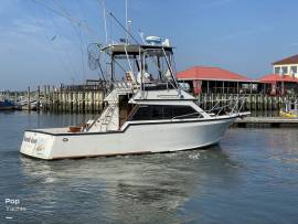 1988, Innovator, 31 Sportfish