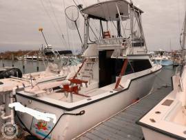 1988, Innovator, 31 Sportfish