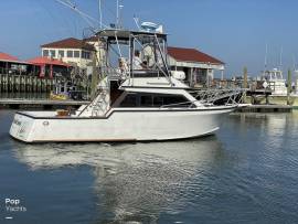 1988, Innovator, 31 Sportfish