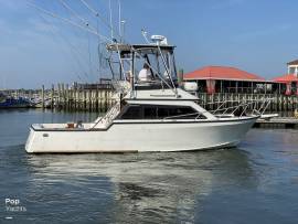 1988, Innovator, 31 Sportfish