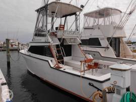 1988, Innovator, 31 Sportfish