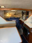 1988, Sea Ray, 300 Sundancer