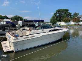 1987, Sea Ray, Express Cruiser 300