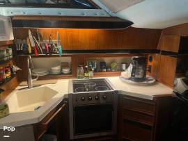 1988, Sea Ray, 415 Aft Cabin