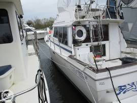 1987, Bayliner, 3270 Motoryacht