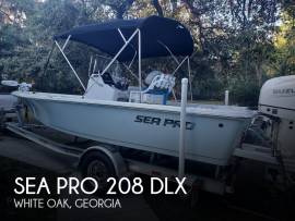 2020, Sea Pro, 208 DLX