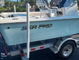 2020, Sea Pro, 208 DLX