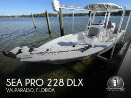 2021, Sea Pro, 228 DLX